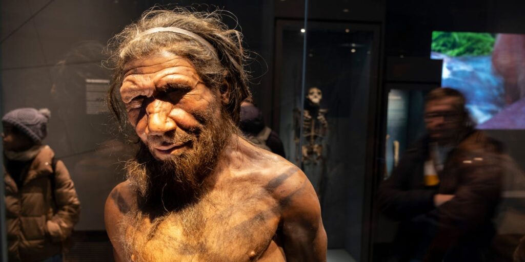 Scientists have discovered a unique lineage of Neanderthals and it helps solve the mystery of the mass extinction.